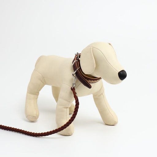 Комплект бежевый ошейник и коричневый поводок с косой - Пушистое счастье фото 3