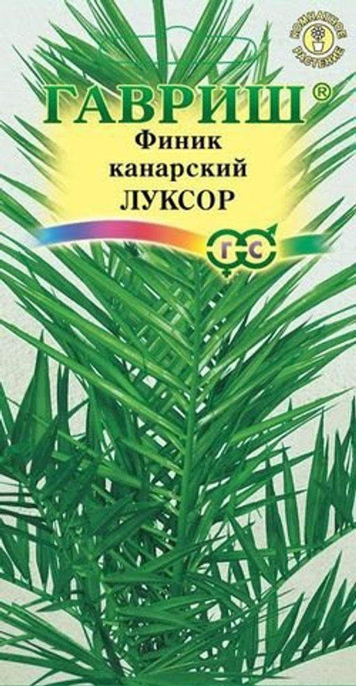 Финик канарский Луксор 2шт. (Гавриш)