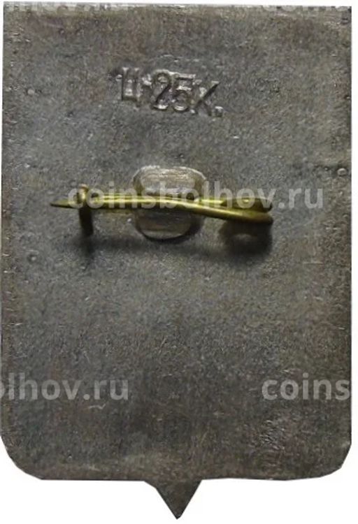 Значок Боровичи