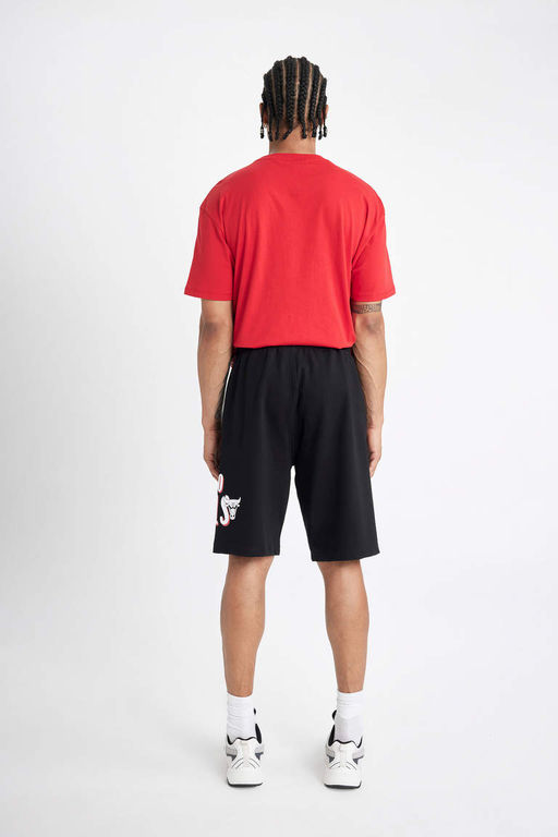 DeFactoFit Укороченные шорты стандартного кроя NBA Chicago Bulls  фото 7