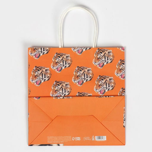 Цена за 2 шт. Пакет подарочный, упаковка, Самец, 22?22?11 см