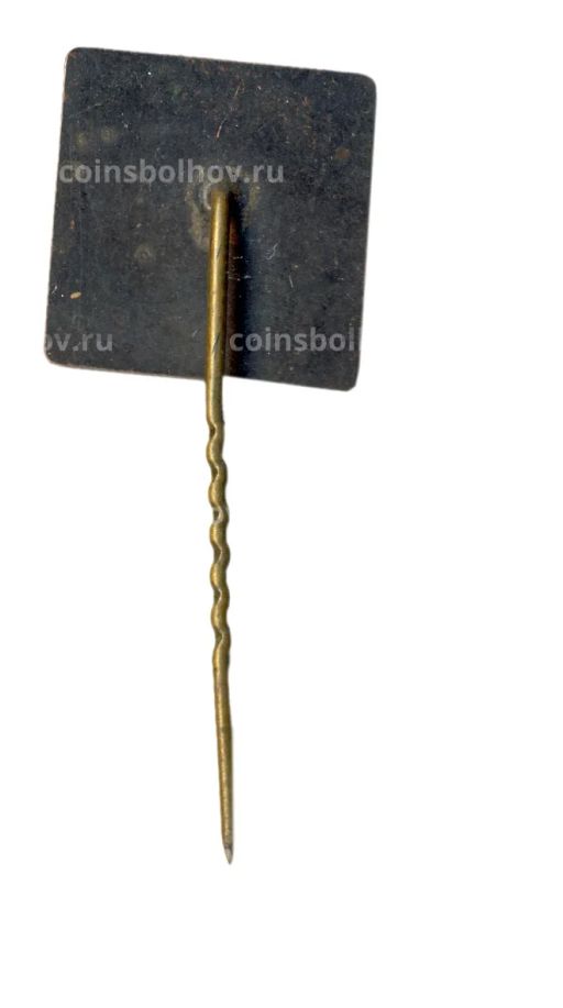 Значок Тракай
