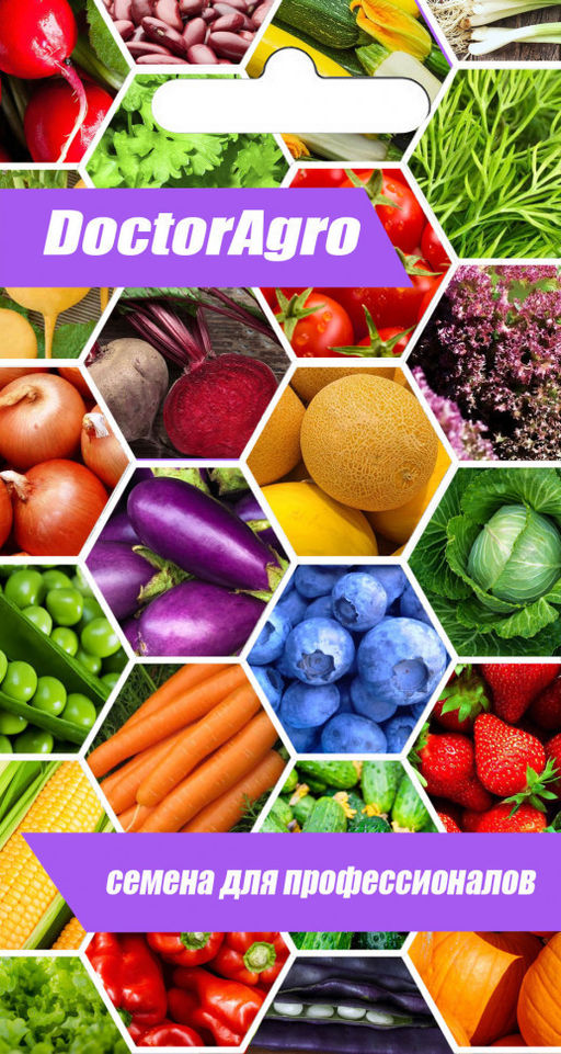 5054D Огурец Форсаж F1 5шт - Доктор Агро фото 2