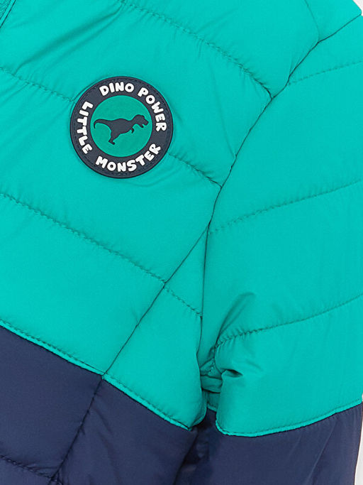 Kap??onlu Uzun Kollu Erkek Bebek ?i?me Mont - Waikiki фото 3