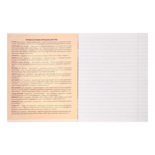 Тетрадь предметная Комикс Аниме 48 листов в линейку Литература, со справочным материалом, обложка мелованный картон, УФ-лак (полный), блок офсет - Calligrata фото 2