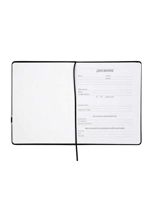 Дневник школьный 1-11 класс, лассе, обложка искуственная кожа черная с хлястиком, с ручкой   1096906