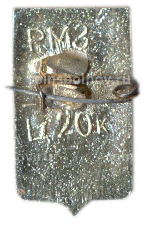 Значок Ростов