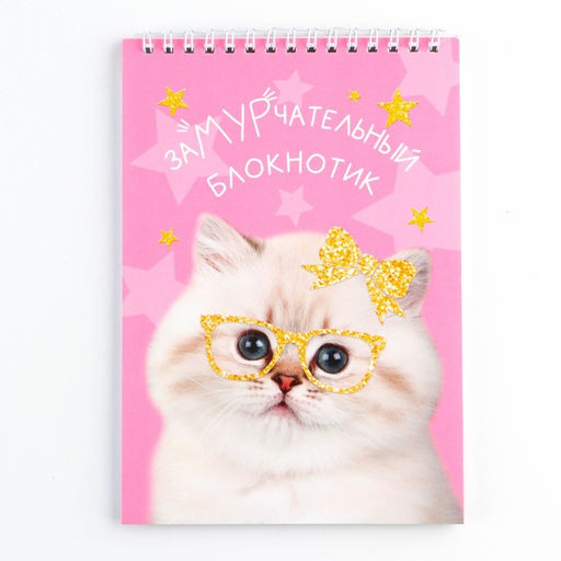 Цена за 2 шт. Блокнот, А5, 40 л., обложка картон «Котик»