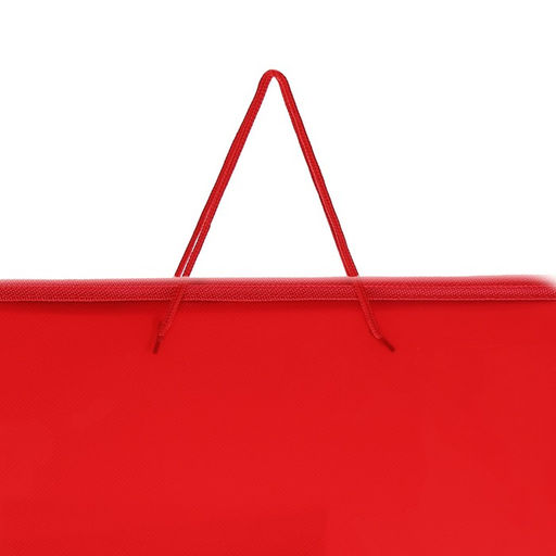 Папка для чертежей и рисунков А3, 460 х 320 х 25 мм, с ручками, пластиковая, молния вокруг, Офис - Calligrata фото 4