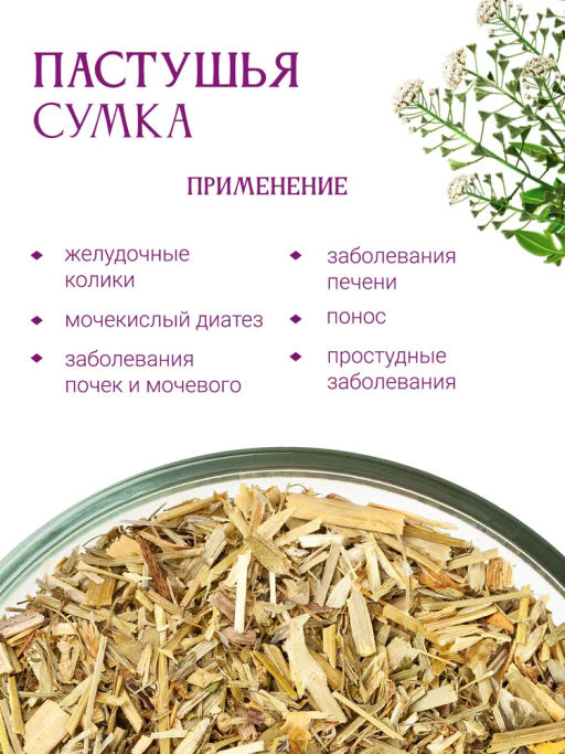 Пастушья сумка - Травы горного крыма фото 3