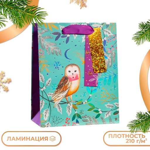 Пакет подарочный Зимняя совушка, люкс 18 х 22,3 х 10 см - Simaland фото 9