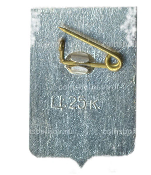 Значок Устюжна