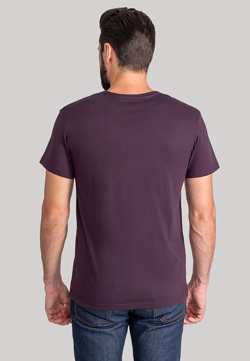 Футболка мужская короткий рукав GREG G146-RD-7020 (фиолет)  фото 2