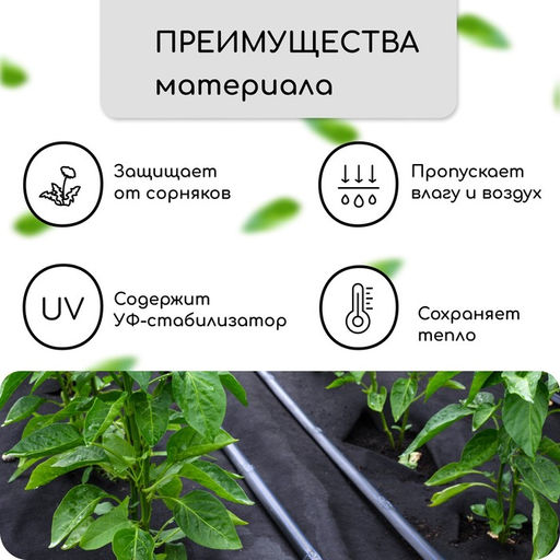 Материал мульчирующий, 10×1.6 м, плотность 60 г/м², спанбонд с УФ-стабилизатором, четыре ряда перфорации, чёрный, Greengo, Эконом 30%