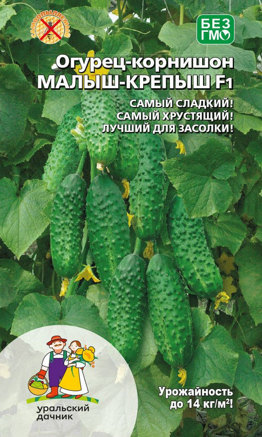 Огурец МАЛЫШ-КРЕПЫШ F1 Самый сладкий! Самый хрустящий! Лучший для засолки!