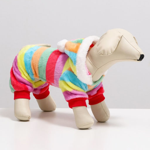 Комбинезон Радуга с капюшоном, размер XS (ДС 20 см, ОГ 30 см, ОШ 20 см) - Simaland фото 15