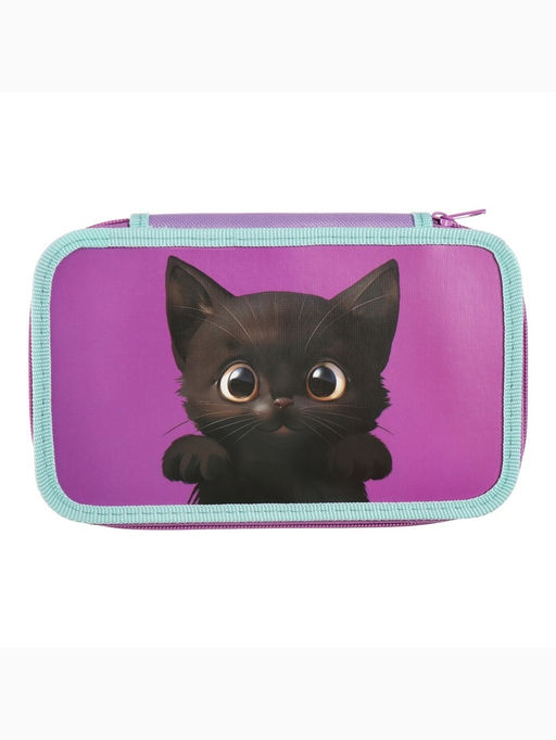 Пенал школьный, 2 секции, 12.5×20.5×4 см «Котик черный»