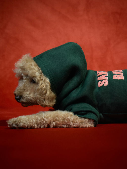 Худи для питомца с принтом / Zarina