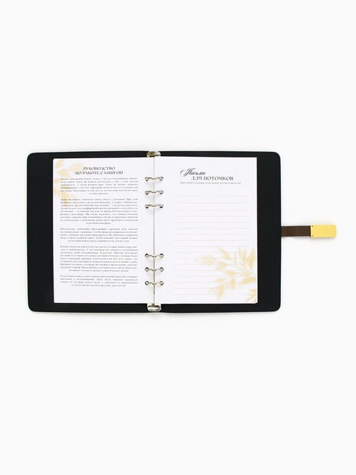 Родословная книга со встроенной флешкой 16 Gb «Семейная летопись», 17.5×23 см