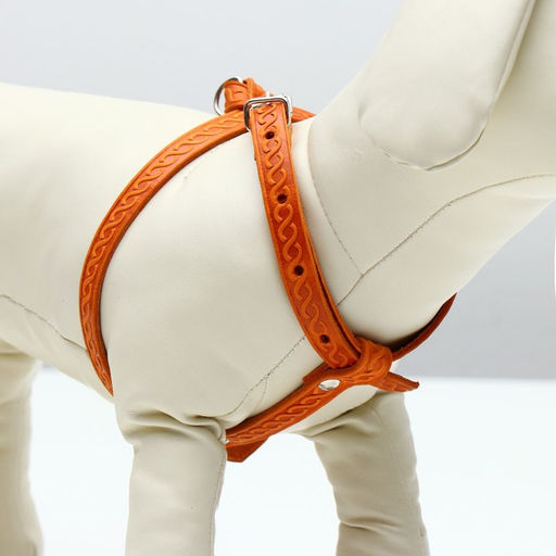 Шлейка кожаная для кошек и маленьких собак,ОШ19-30 см,ОГ 25-37 см,1.2 см, микс видов, цветов - Пижон фото 2