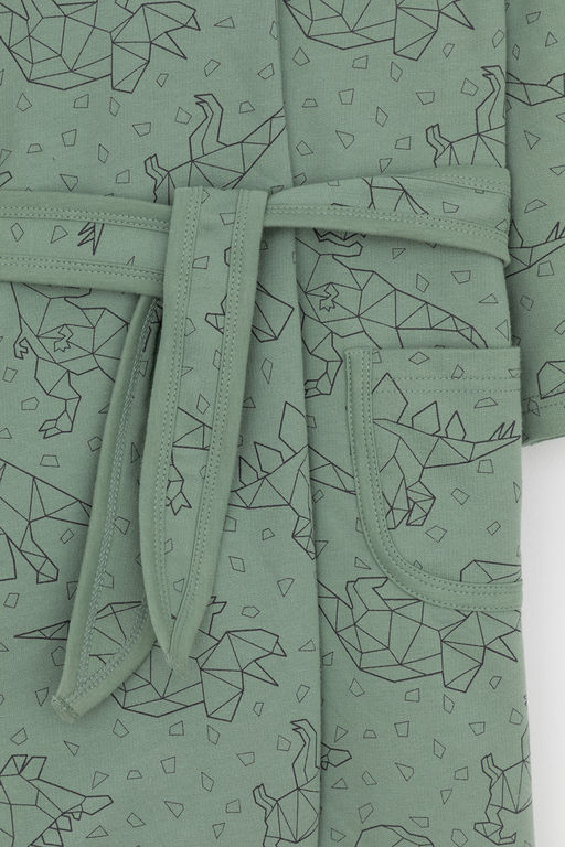 Crockid _ К 5763-1/весенний зеленый,динозавры халат дет фото 3