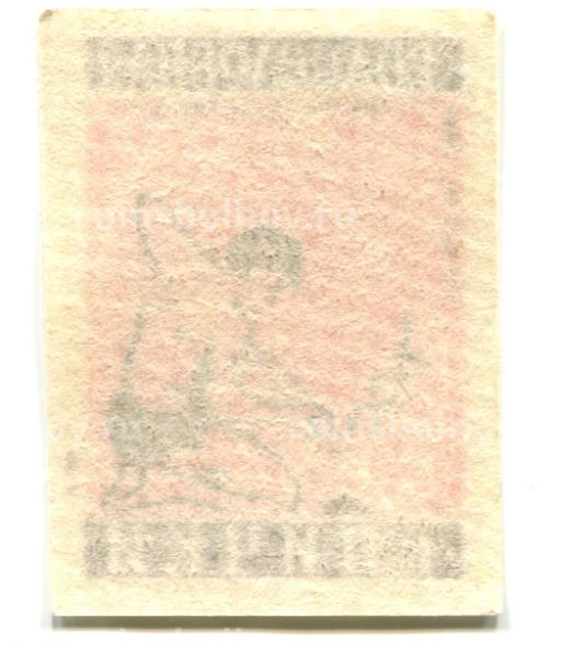 Этикетка спичечная Родословная спички №5 фабрика Ревпуть