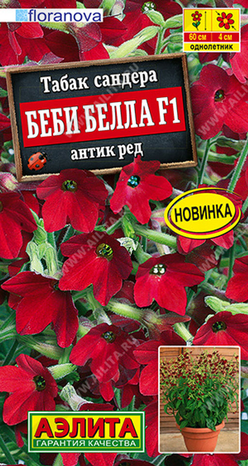 Табак сандера Беби Белла F1 антик ред
