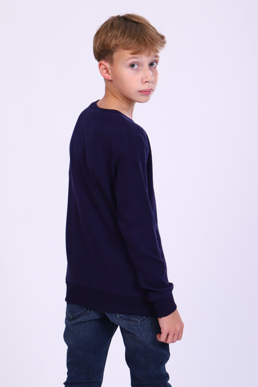 Джемпер 17590 детский