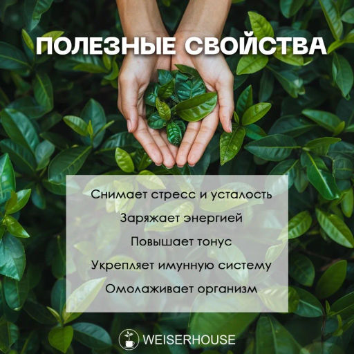 Ароматизированный черный чай.  Байкальская ночь - Weiserhouse фото 10