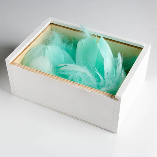 Наполнитель из перьев для шаров и подарков Мечтания , 15 х 11 см - Дарите счастье фото 3