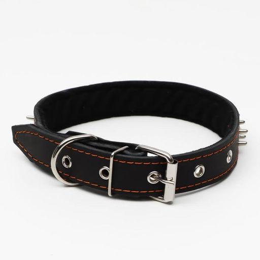 Ошейник кожаный на синтепоне Ёж, 64 х 3 см, ОШ 40-55 см, чёрный - Пижон фото 2