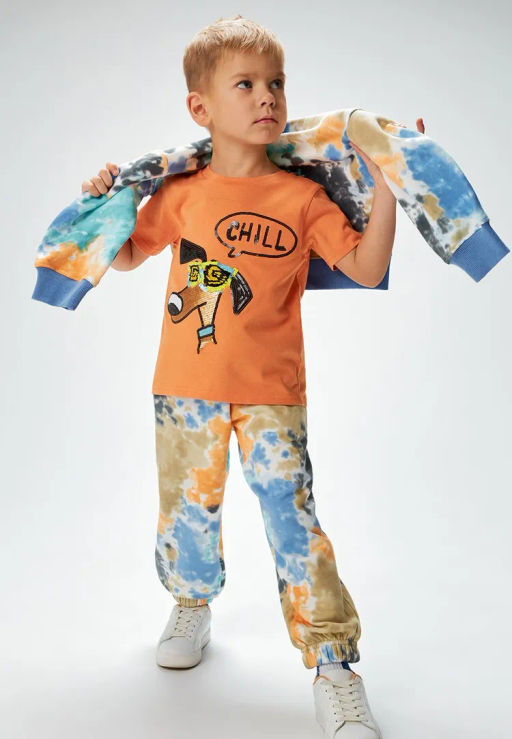 ACOOLA / Футболка детская для мальчиков Havel оранжевый фото 2