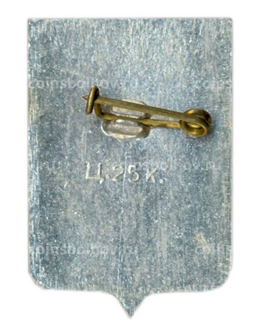 Значок Старая Русса