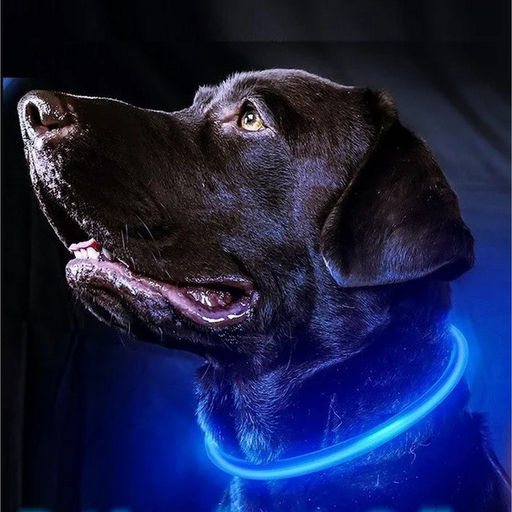 Цена за 2 шт. Ошейник неоновый для собак малых пород "Защита Бро", цвет синий, зарядка от USB, шнур в комплекте, размер S - d 35см (пакет с подвесом)