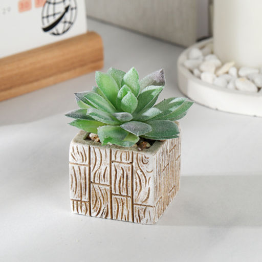 Цветочная композиция Кактус / WER-15 /уп 12/288/ микс - Галеонтрейд фото 2