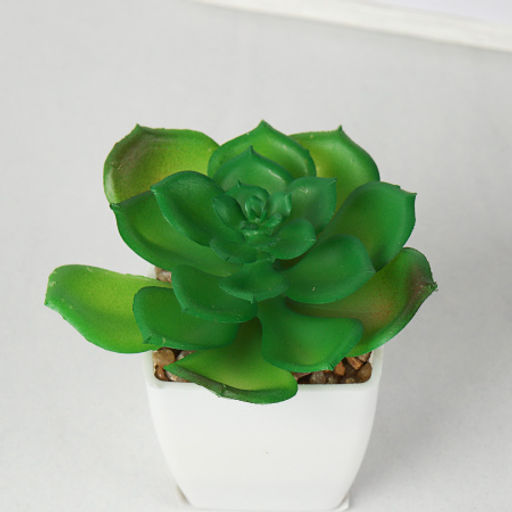 Цветочная композиция Кактус / WER-19 /уп 12/192/ микс - Галеонтрейд фото 23