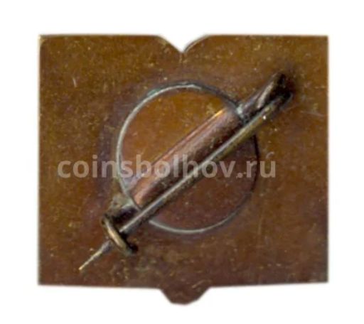 Значок Варгамяэ