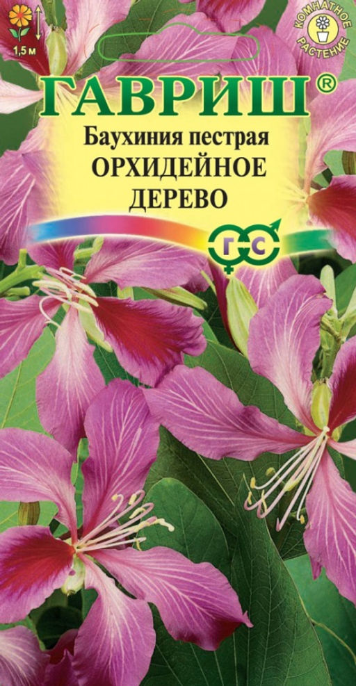 Баухиния Орхидейное дерево (пурпурная) 3шт. (Гавриш)