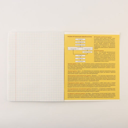 Тетради предметные, 48 л., А5, набор из 3 шт. «Персонажи»