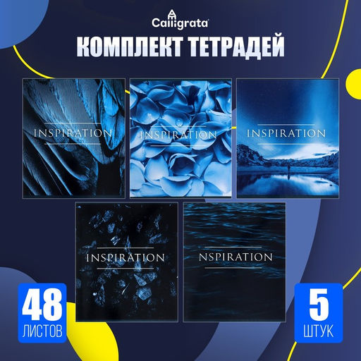 Комплект тетрадей из 5 штук, 48 листов в клетку Calligrata Вдохновение, обложка мелованный картон, блок офсет