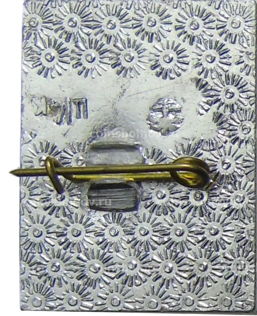 Значок Сочи