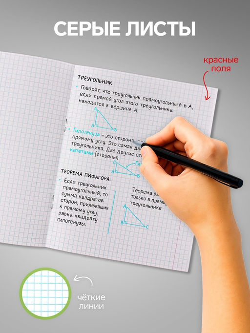 Набор тетрадей 48 листов в клетку, Calligrata «Цветы», 5 штук