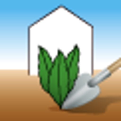 Томат Небоскреб F1 (2024) - Аэлита фото 5