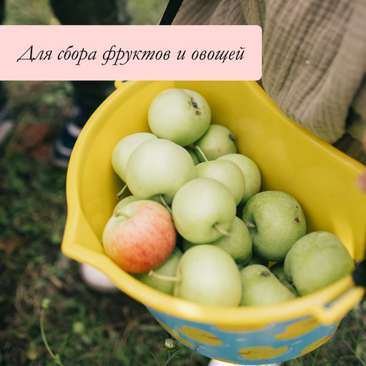 Цена за 3 шт. Ёмкость универсальная, 3 л, «Утки», жёлтая