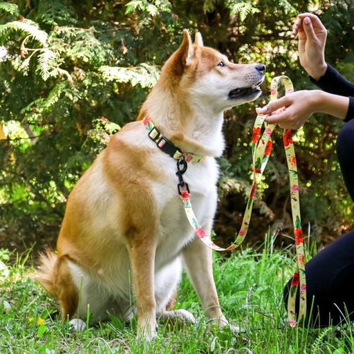 Набор Цветы, застёжка - фастекс, поводок 2 м и ошейник 28-46 см - Пушистое счастье фото 12
