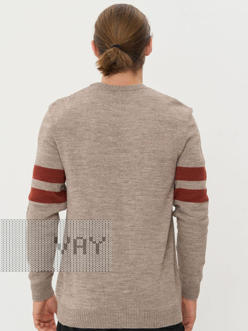 Джемпер мужской 5232-12268 - Vay фото 9