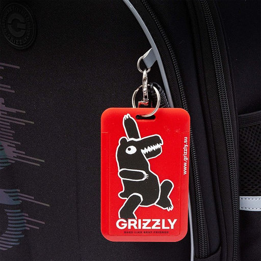 RAz-587-11 Рюкзак школьный - Grizzly фото 22