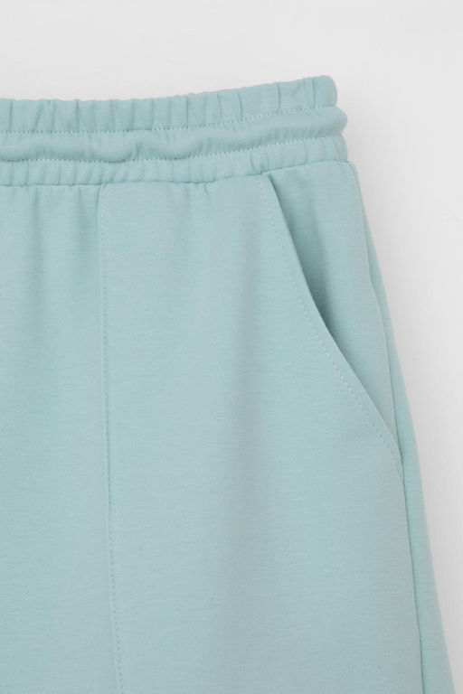 ЕВТ 4128/ментоловый шорты жен