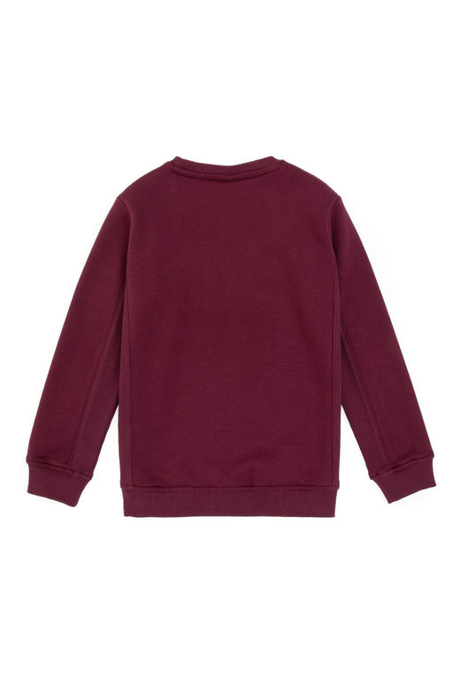 Erkek _ocuk Bordo Bisiklet Yaka Sweatshirt - U.s. polo assn фото 2