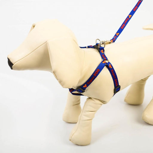 Комплект Super Dog, шлейка 26-39 см, поводок 120х1 см - Пушистое счастье фото 6